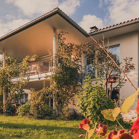 Coraline -Koblach, 6-10 P, 3 Schlafzimmer, Kueche, Riesige Terrasse, Parkplatz, Wifi, Stellplatz Ski 외부 사진