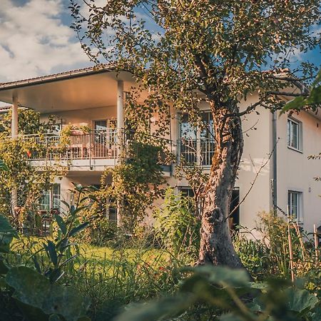 Coraline -Koblach, 6-10 P, 3 Schlafzimmer, Kueche, Riesige Terrasse, Parkplatz, Wifi, Stellplatz Ski 외부 사진