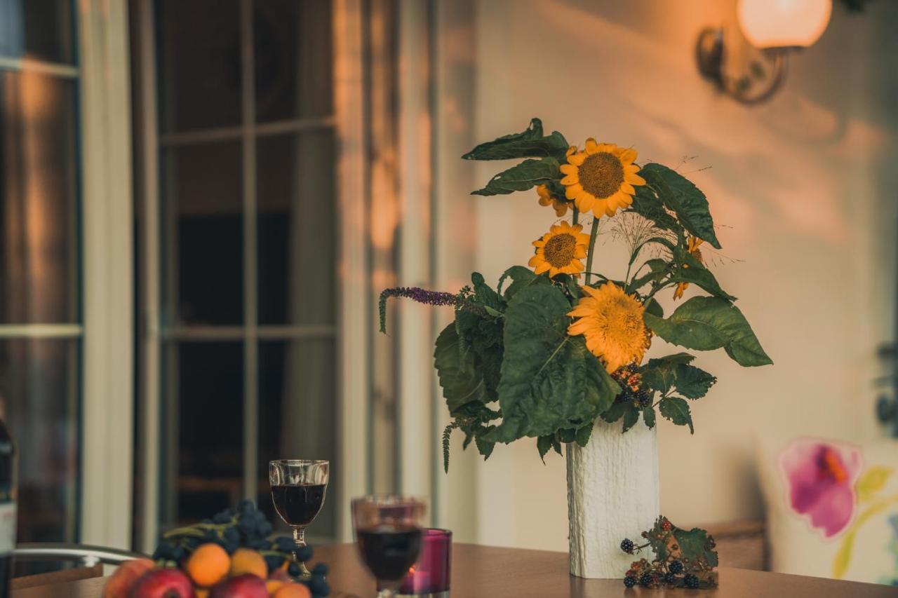 Coraline -Koblach, 6-10 P, 3 Schlafzimmer, Kueche, Riesige Terrasse, Parkplatz, Wifi, Stellplatz Ski 외부 사진