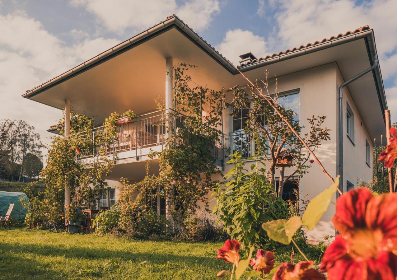Coraline -Koblach, 6-10 P, 3 Schlafzimmer, Kueche, Riesige Terrasse, Parkplatz, Wifi, Stellplatz Ski 외부 사진