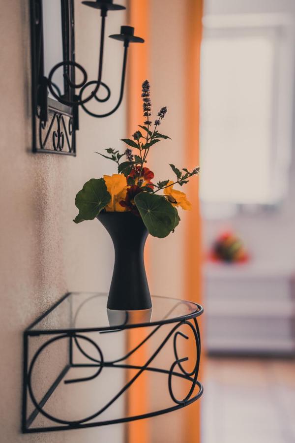 Coraline -Koblach, 6-10 P, 3 Schlafzimmer, Kueche, Riesige Terrasse, Parkplatz, Wifi, Stellplatz Ski 외부 사진