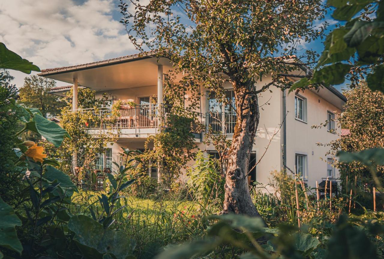 Coraline -Koblach, 6-10 P, 3 Schlafzimmer, Kueche, Riesige Terrasse, Parkplatz, Wifi, Stellplatz Ski 외부 사진